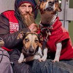 .© 2017 Ian Morrison / DogstarPhoto.co.uk All Rights Reserved.