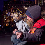 .© 2017 Ian Morrison / DogstarPhoto.co.uk All Rights Reserved.