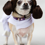 Princess Leia at SciFido