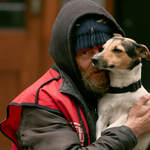 .© 2017 Ian Morrison / DogstarPhoto.co.uk All Rights Reserved.