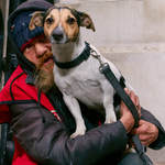 .© 2017 Ian Morrison / DogstarPhoto.co.uk All Rights Reserved.