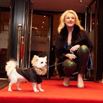 Mayhew Tinsel and Tails