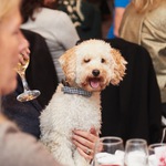 Mayhew Tinsel and Tails