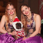 Mayhew Tinsel and Tails